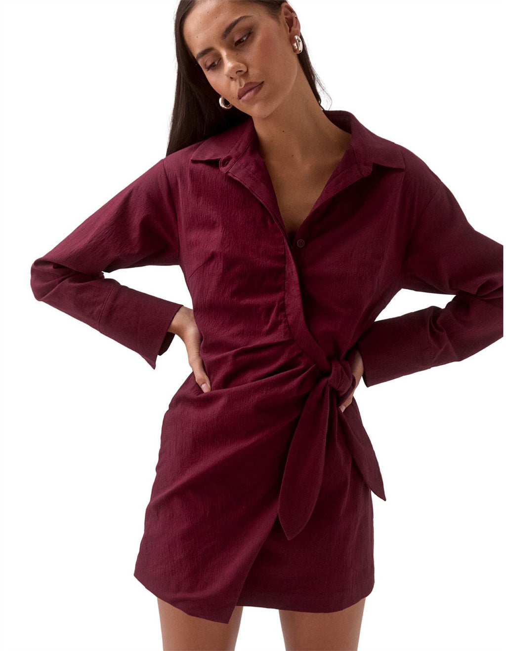 Plum Shirt Dress
