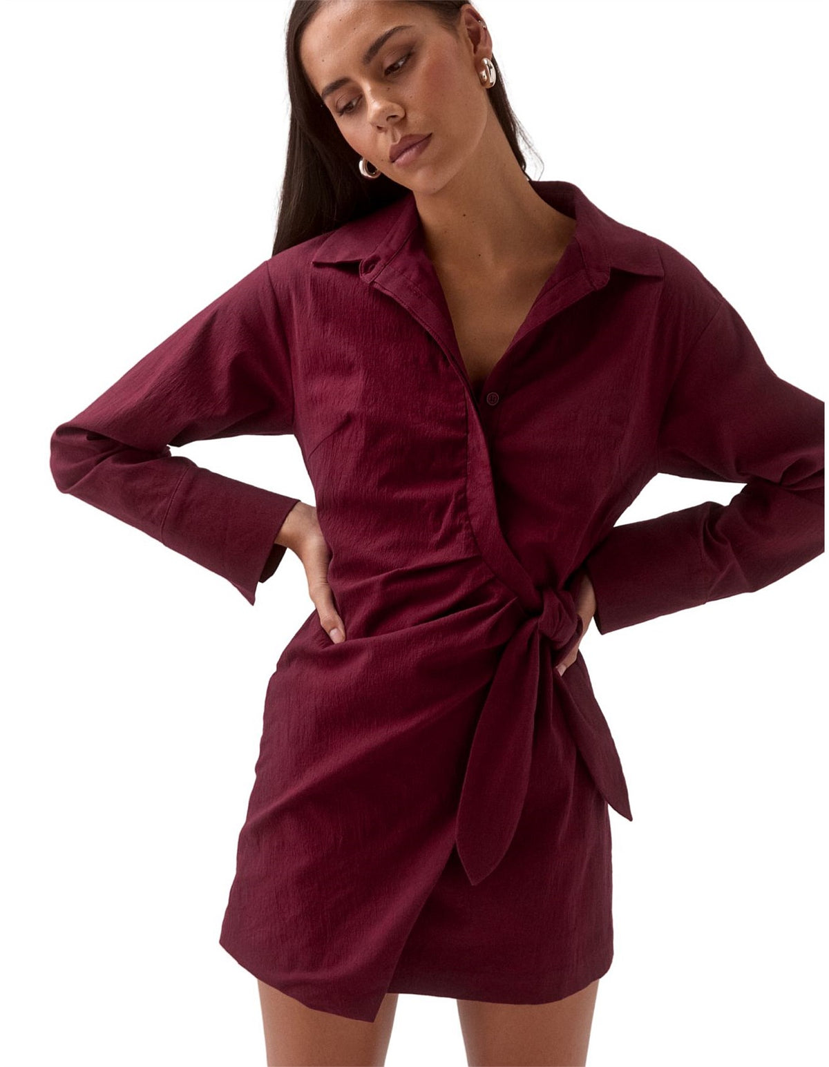 Plum Shirt Dress