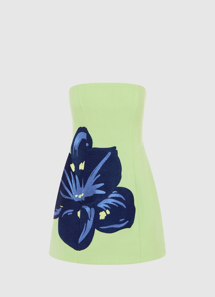 Roselle Mini Dress