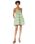 Jendayi Mini Dress