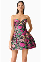 Raisa Jacquard Mini Dress