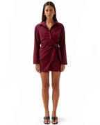 Plum Shirt Dress