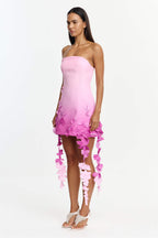 Sandia Mini Dress