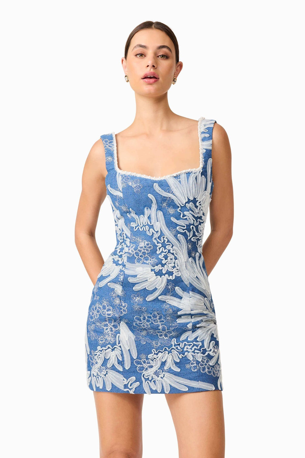 Anneliese Embroidered Mini Dress
