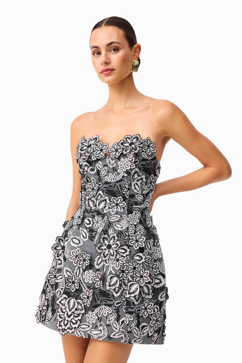 Roseate Mini Dress in Black