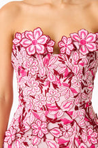 Roseate Mini Dress in Pink
