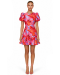 Rayan Mini Dress