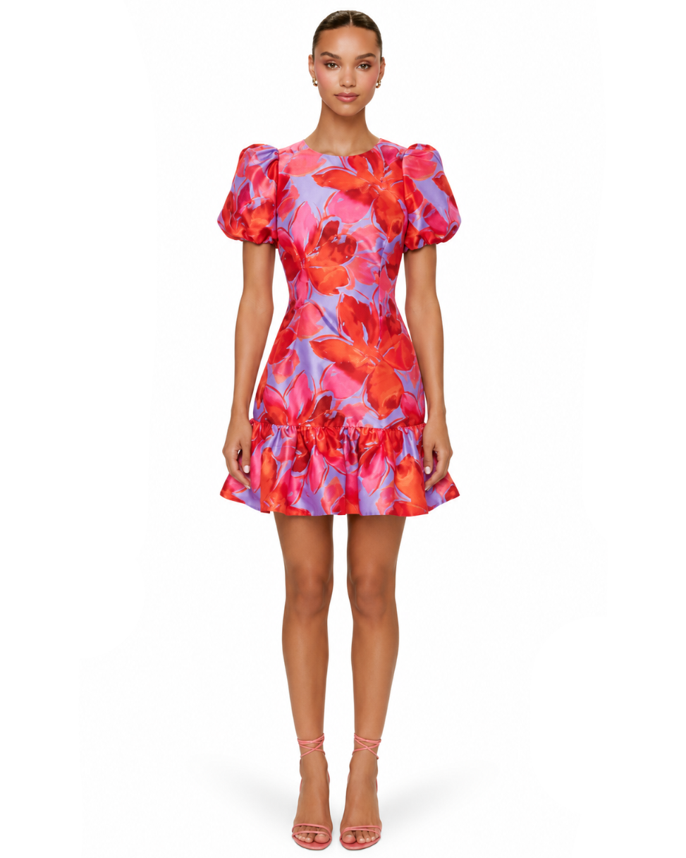 Rayan Mini Dress