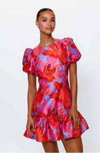 Rayan Mini Dress