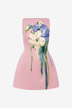 Ali Embroidered Mini Dress