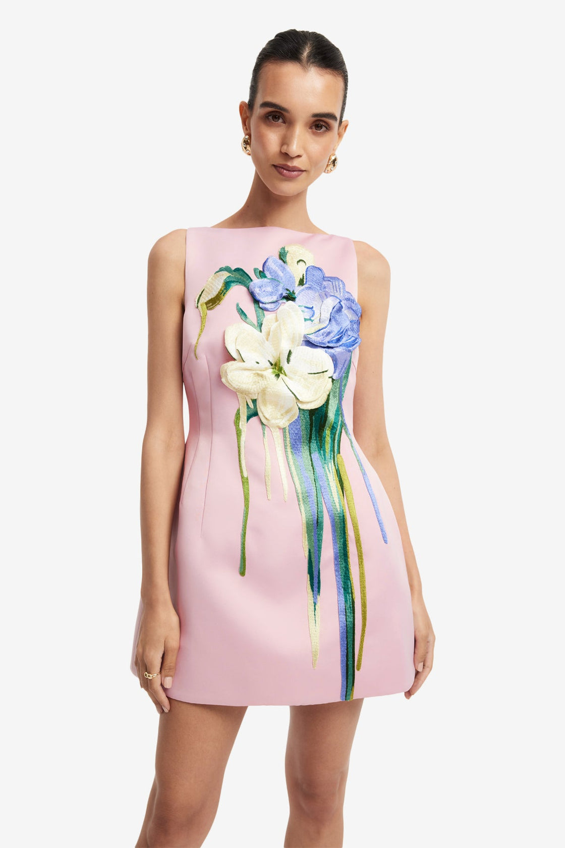 Ali Embroidered Mini Dress