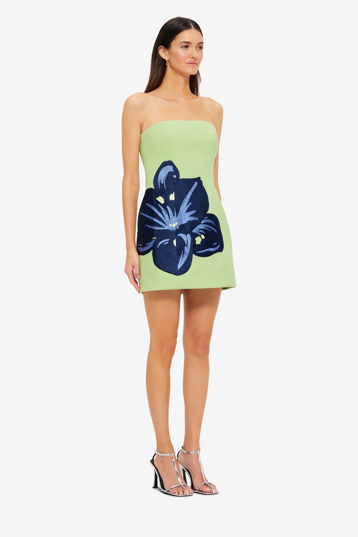 Roselle Mini Dress